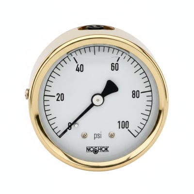 NOSHOK 25-310-30/160-PSI/KG/CM2-GLO