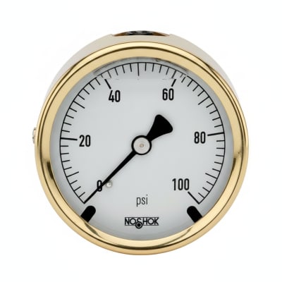 NOSHOK 25-310-30/160-PSI/KPA-MIP-BFF-BT8