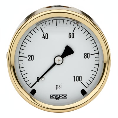 NOSHOK 25-310-30/160-PSI/KG/CM2-CFF