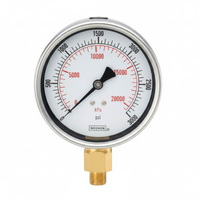NOSHOK 25-310-30/160-PSI/KPA-MIP-CC