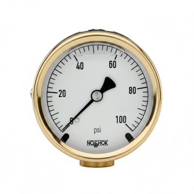 NOSHOK 25-310-6000-PSI/BAR-BFF