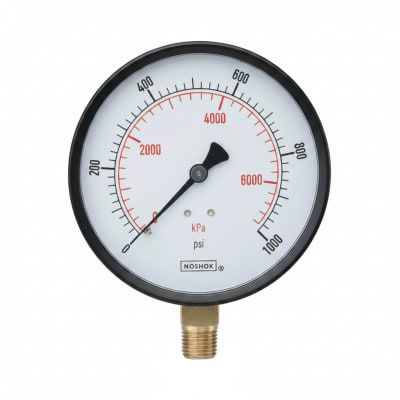 NOSHOK 25-310-30/160-PSI/KPA-CBU-GY40-CC