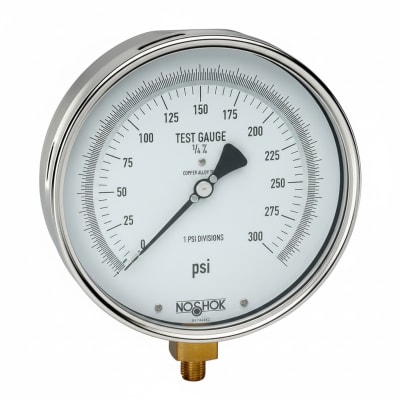 NOSHOK 25-310-30/160-PSI/BAR-MIP-CBU
