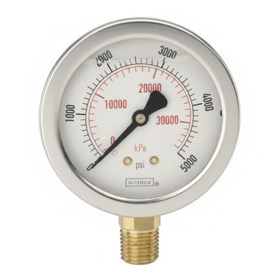 NOSHOK 25-310-6000-PSI/BAR-GY40
