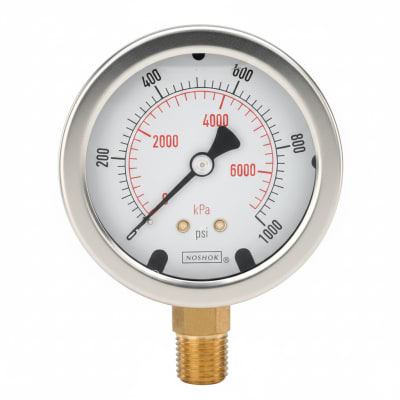 NOSHOK 25-310-6000-PSI/BAR-CBU-BT8