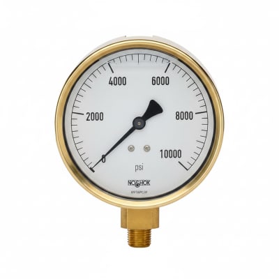 NOSHOK 25-310-6000-PSI/KPA-MIP-CBU-BT8
