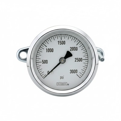 NOSHOK 25-310-6000-PSI/BAR-BT8