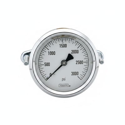NOSHOK 25-310-6000-PSI/KG/CM2-CFF-BT8