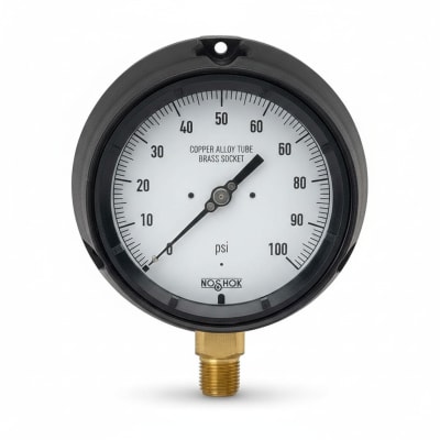 NOSHOK 25-310-6000-PSI/BAR-MIP-CFF-BT8