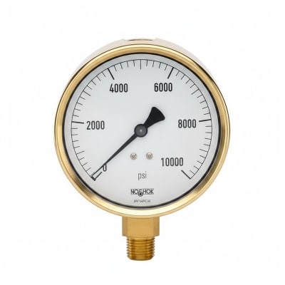 NOSHOK 25-310-6000-PSI/KPA-MIP-CFF-BT8