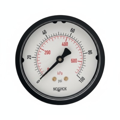 NOSHOK 40-500-1000-PSI-SSFF-AP-SG-CC