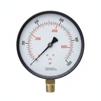 NOSHOK 40-500-1000-PSI-AP