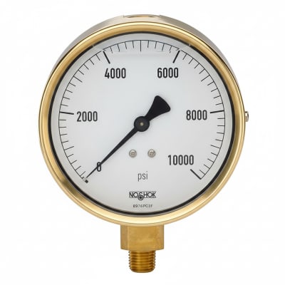 NOSHOK 25-310-6000-PSI/BAR-MIP-CC