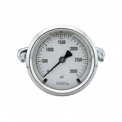 NOSHOK 25-310-6000-PSI/KPA-CBU-GY40-BT8-CC