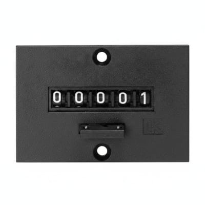 TRUMETER B1610/LT/24FL/110VDC/10CPS