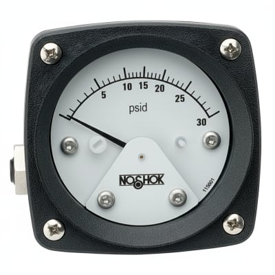 NOSHOK 25-310-1000-PSI-CFF-BT4