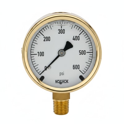 NOSHOK 25-310-1000-PSI-SGO-GY40