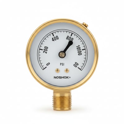 NOSHOK 25-310-1000-PSI-CFF-BT8