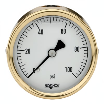NOSHOK 25-310-1000-PSI-CBU-BT8