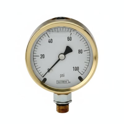 NOSHOK 25-310-1000-PSI-SGO