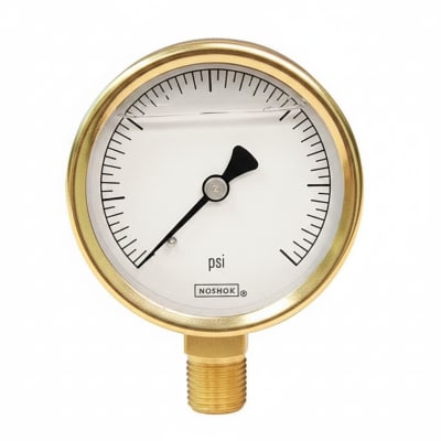 NOSHOK 25-310-30/160-PSI-CBU-BT8