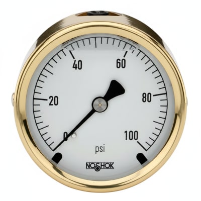 NOSHOK 25-310-30/160-PSI-CBU-GY40