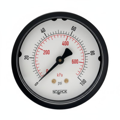 NOSHOK 25-100-200-PSI/KPA-BCR