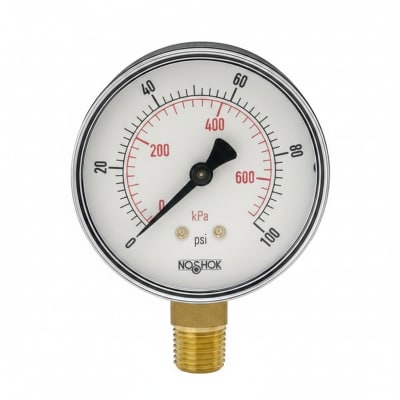 NOSHOK 15-110-160-PSI/KG/CM2-SSC