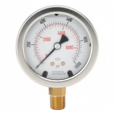 NOSHOK 25-410-100-PSI/KG/CM2-SPMC-SG