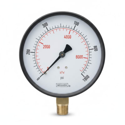 NOSHOK 25-410-100-PSI/KG/CM2-SP-SPMC-CC