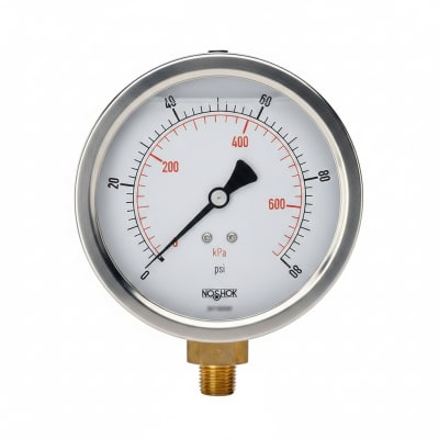 NOSHOK 25-300-15-PSI-BFF-BT8