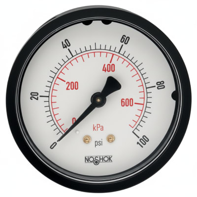NOSHOK 25-110-300-PSI/BAR-PMC