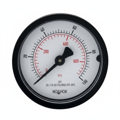 NOSHOK 20-110-60-PSI/BAR-CFF-BP3