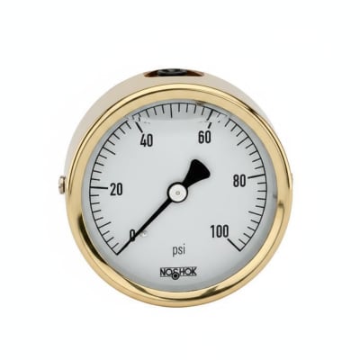 NOSHOK 25-310-5000-PSI/KG/CM2-BFF-BT8-CC