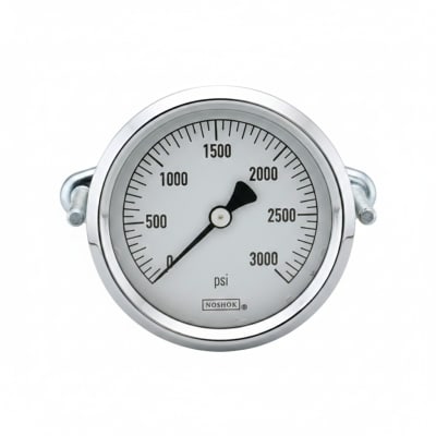 NOSHOK 25-310-5000-PSI/KPA-CBU-BT8-CC