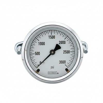 NOSHOK 25-310-5000-PSI/KPA-MIP-CBU-BT8-CC