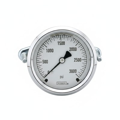 NOSHOK 25-310-5000-PSI/KPA-CBU-BT8