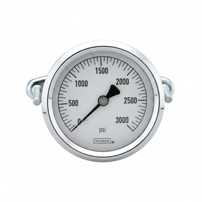 NOSHOK 25-310-5000-PSI/KPA-MIP-BT8