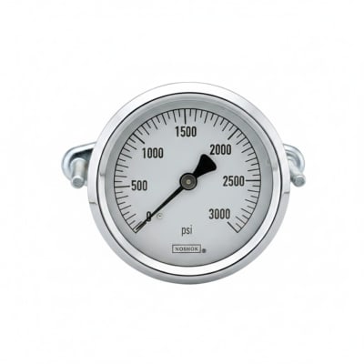 NOSHOK 25-310-5000-PSI/KG/CM2-GLO