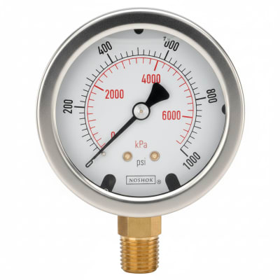 NOSHOK 25-310-5000-PSI/KG/CM2-MIP-CBU-BT8
