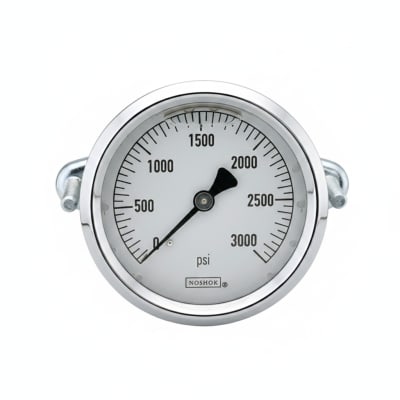 NOSHOK 25-310-5000-PSI/KPA-MIP-CBU-CC