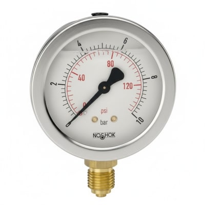 NOSHOK 25-110-160-PSI/BAR-SSB