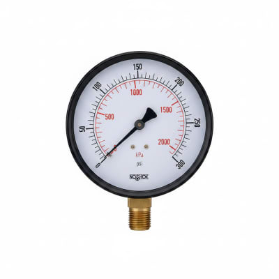 NOSHOK 25-100-600-PSI/KPA-BSC-BCR-BP3