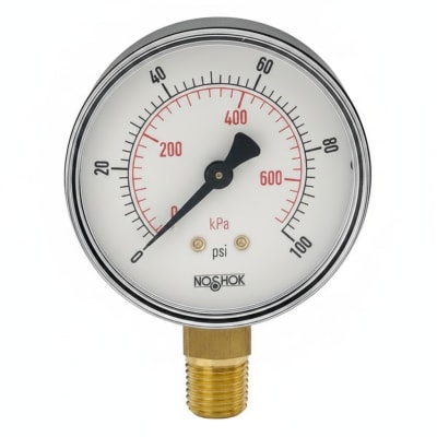 NOSHOK 25-100-200-PSI/KG/CM2-BSC-BCR