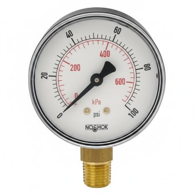 NOSHOK 25-100-200-PSI/BAR-BSC-BCR