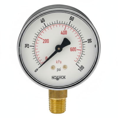 NOSHOK 25-100-30-PSI/BAR-BSC