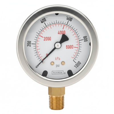 NOSHOK 25-310-2000-PSI-DRY