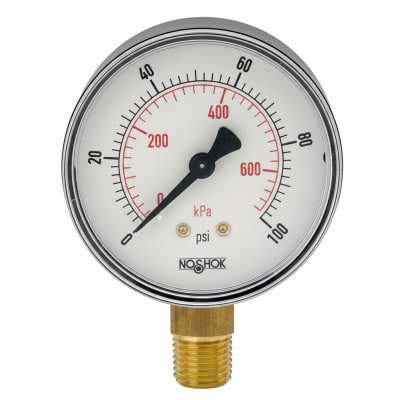 NOSHOK 25-100-30-PSI/KPA-BSC-BCR