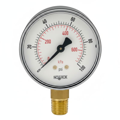 NOSHOK 25-100-30-PSI/BAR-BSC-BCR-BP3