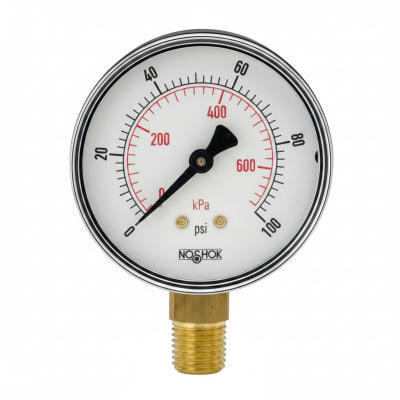 NOSHOK 25-100-30/30-PSI/KPA-BSC-BCR-BP3